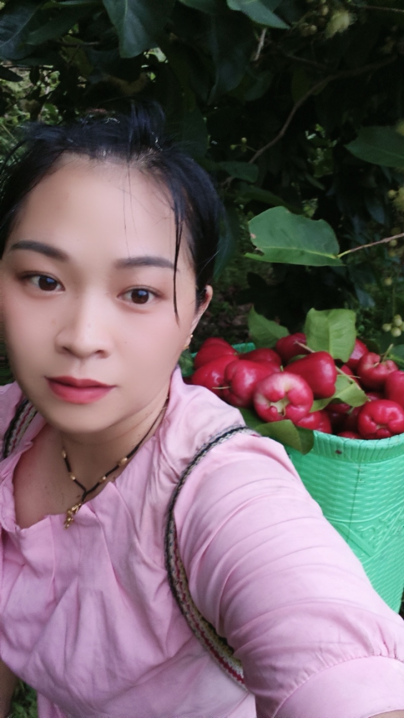 云南文山莲雾批发基地5元一斤