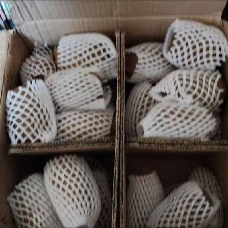 陕西猕猴桃电商基地抖音～拼多多～视频号大量接单