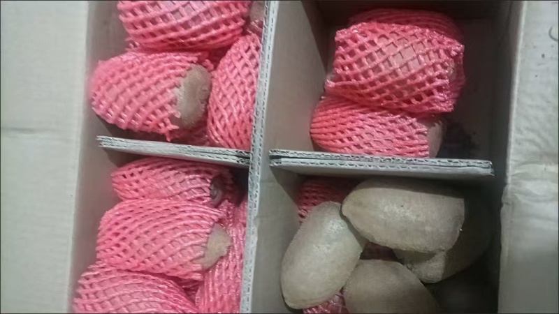 陕西猕猴桃电商基地抖音～拼多多～视频号大量接单