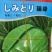 春秋甘蓝种子～臻绿甘蓝种子