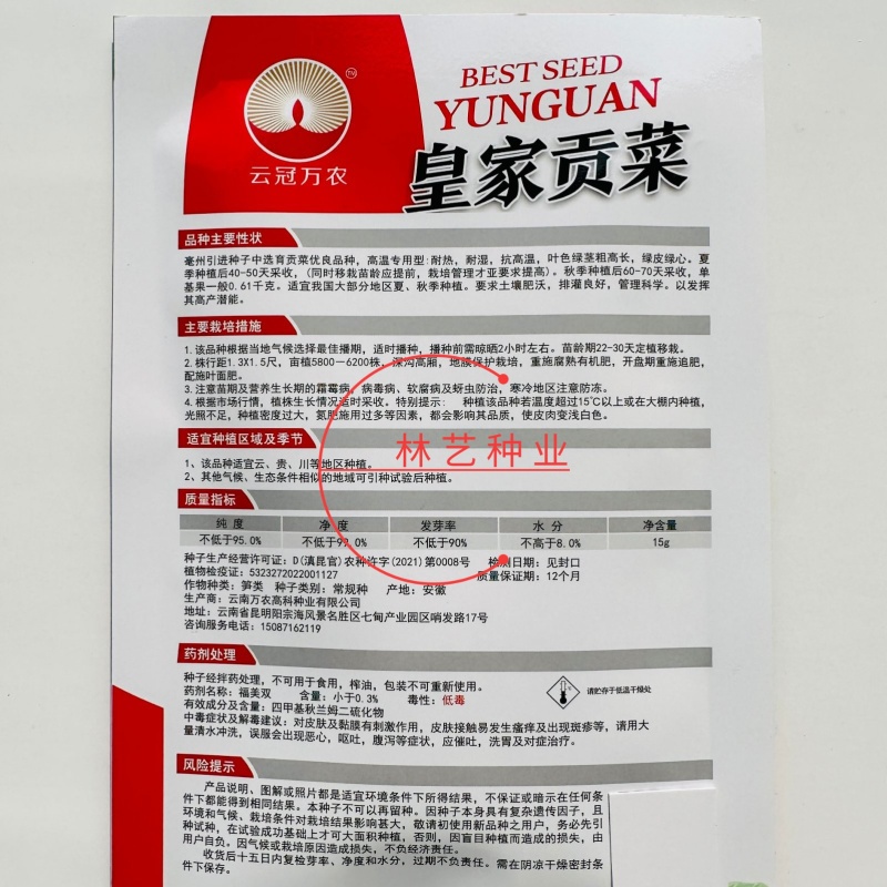 皇家贡菜种子高温专用型新品种耐热耐湿优良品种绿皮绿心莴苣