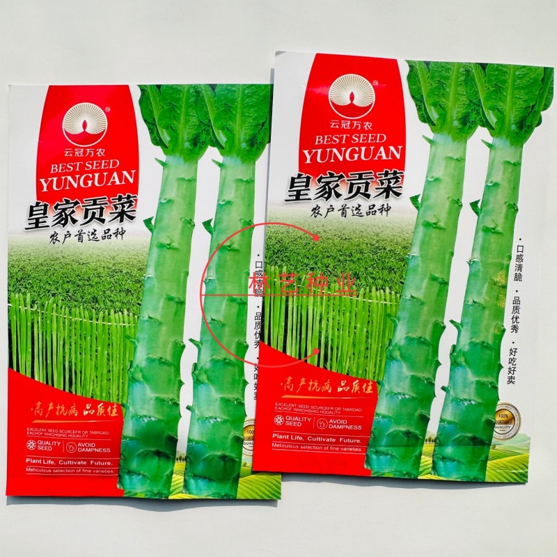 皇家贡菜种子高温专用型新品种耐热耐湿优良品种绿皮绿心莴苣