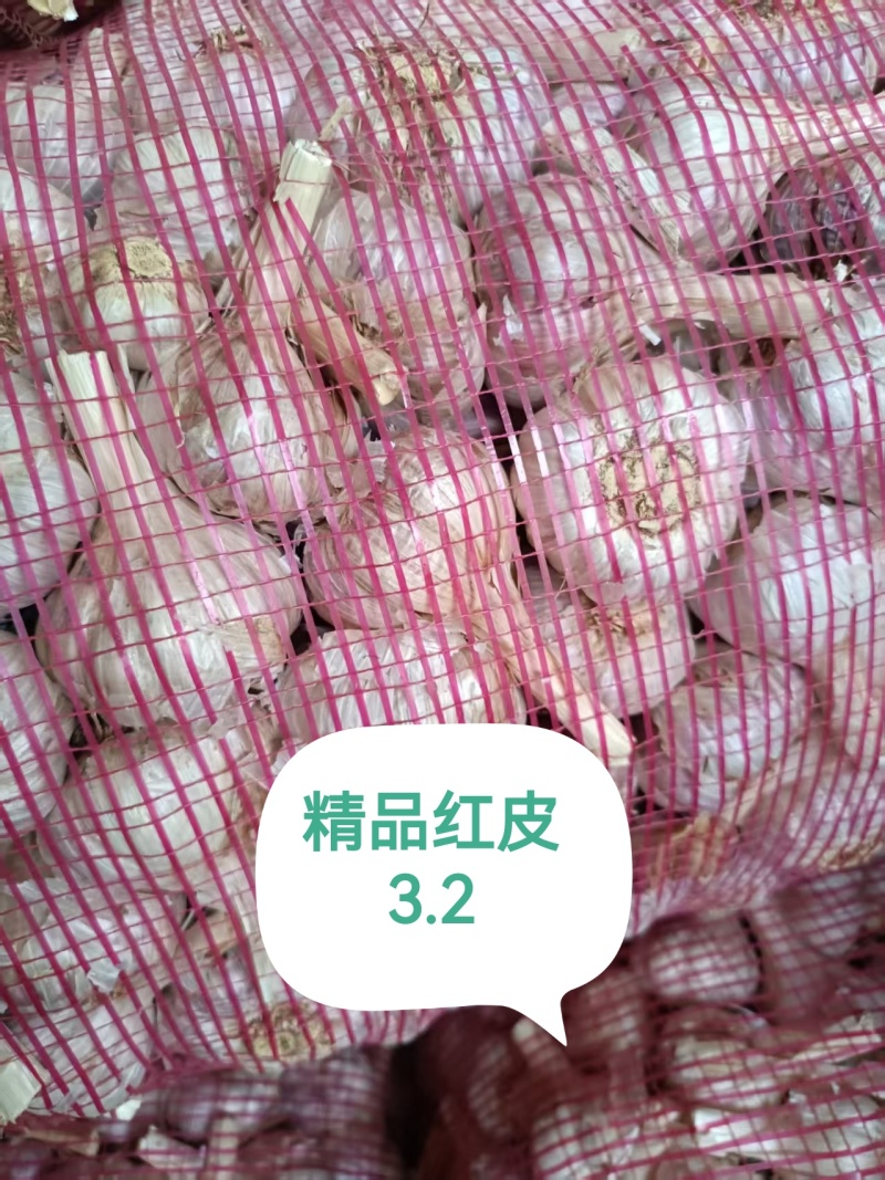 苍山大蒜四六瓣射阳红皮