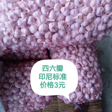 苍山大蒜四六瓣射阳红皮