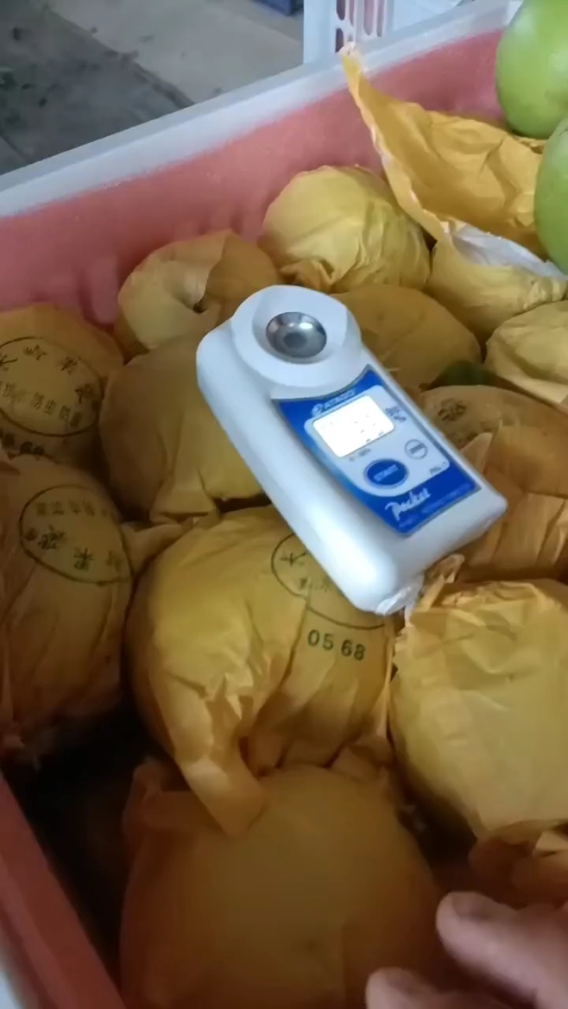 安徽酥脆一号梨，翠玉梨，货源充足，保证质量，代发全国