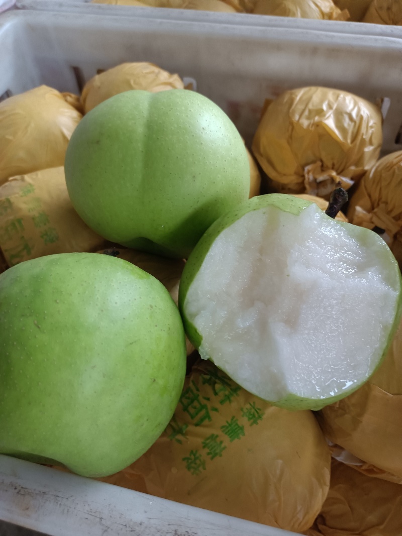 安徽酥脆一号梨，翠玉梨，货源充足，保证质量，代发全国