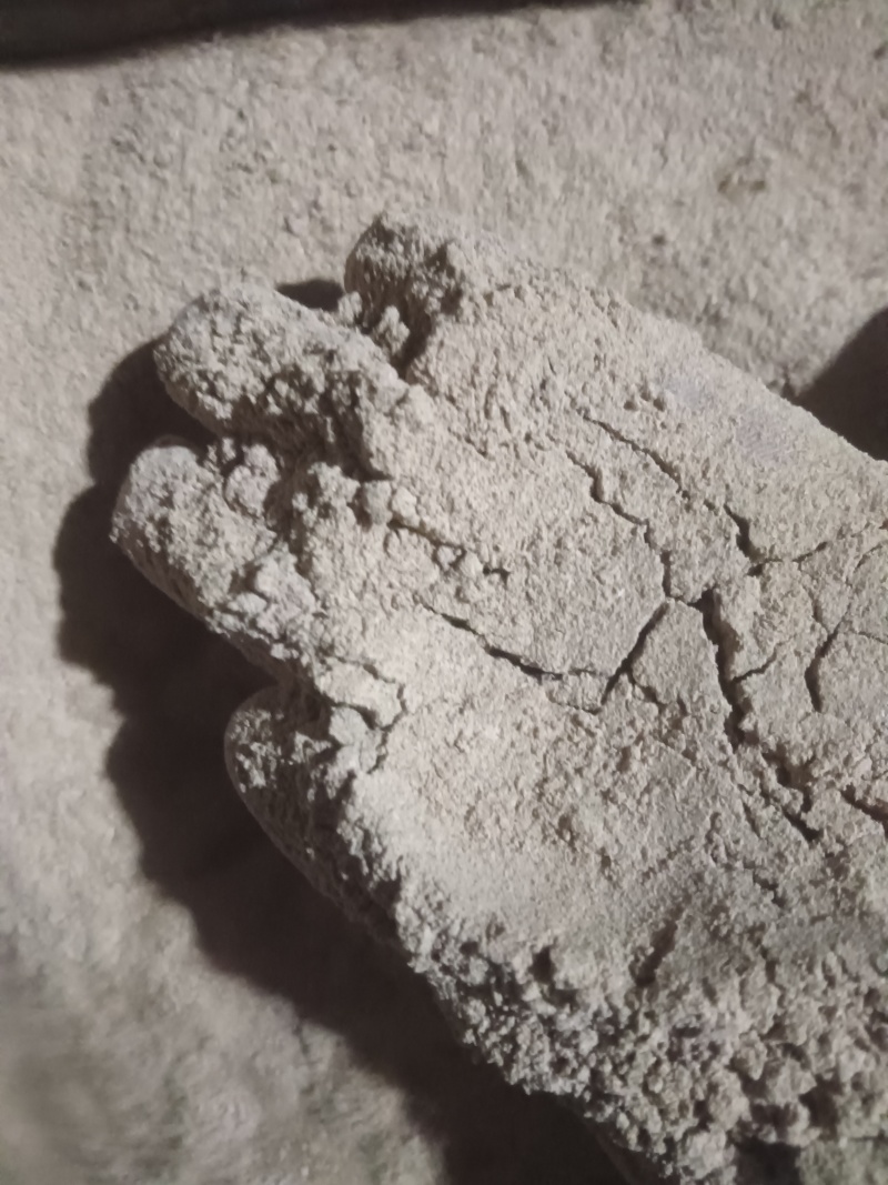皂角粉加工100目皂角粉