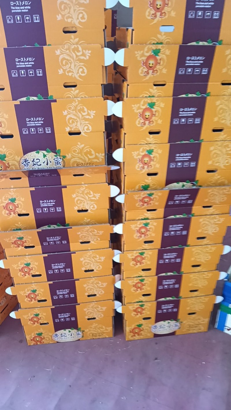 哈密瓜营养多汁量大优惠欢迎联系