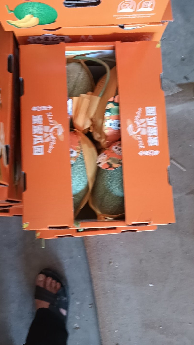 哈密瓜营养多汁量大优惠欢迎联系