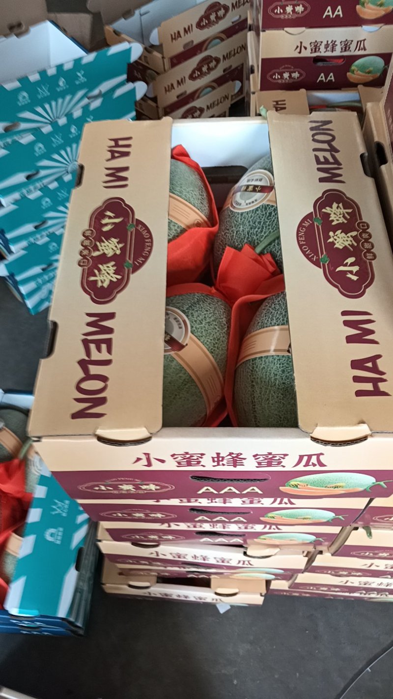 哈密瓜营养多汁量大优惠欢迎联系