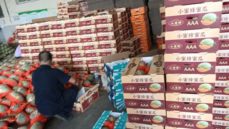 哈密瓜营养多汁量大优惠欢迎联系