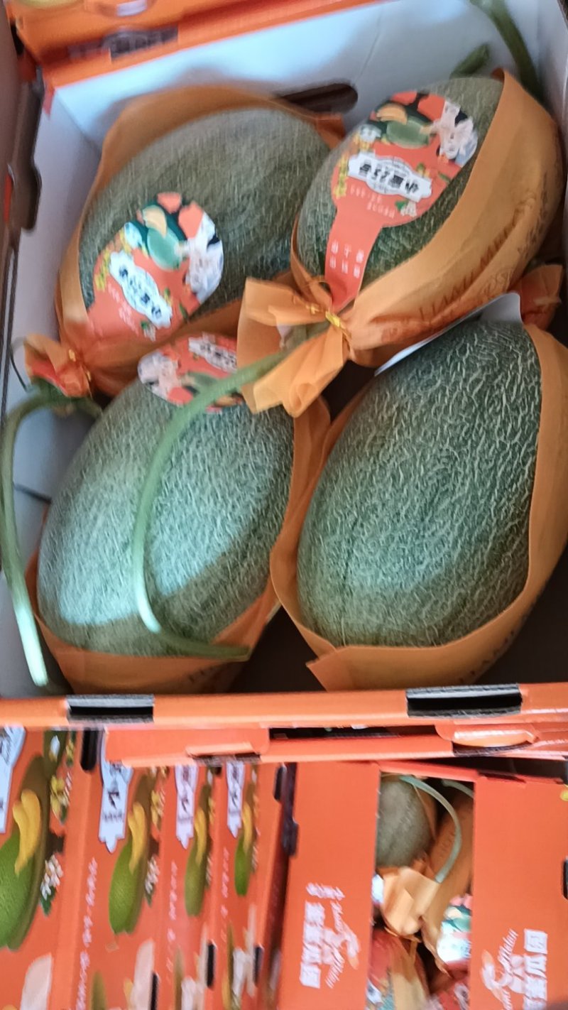 哈密瓜营养多汁量大优惠欢迎联系