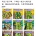 (中国)广西百色.可直接掃碼下單