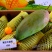 (中国)广西百色.可直接掃碼下單