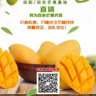(中国)广西百色.可直接掃碼下單