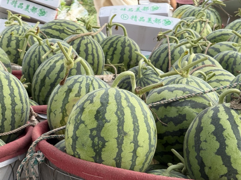 台农无籽美都西瓜，精品麒麟，产地直发，对接全国