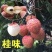 漳州荔枝产地直销有需要的老板联系漳州荔枝新鲜现摘水果福建