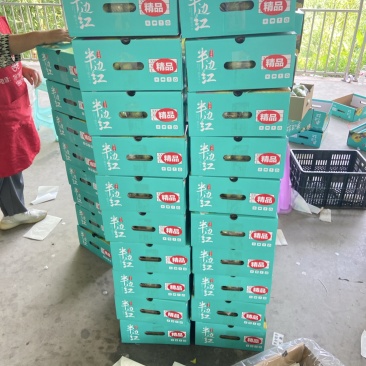 宜宾半边红李开始了