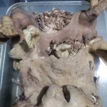 五香熟羊头新鲜肉质鲜嫩喷香喷香保证十成熟