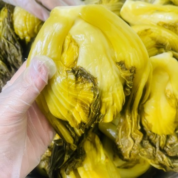 【腌芥菜】优质腌芥菜酸菜乳酸菌酸菜益生菌酸菜一件代发