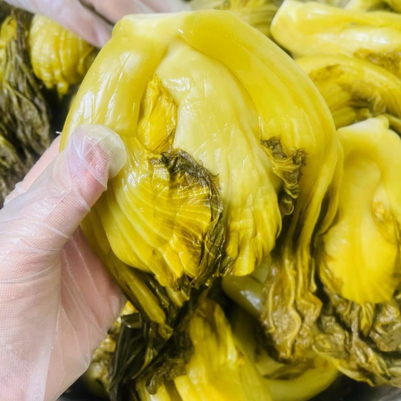 【腌芥菜】优质腌芥菜酸菜乳酸菌酸菜益生菌酸菜一件代发
