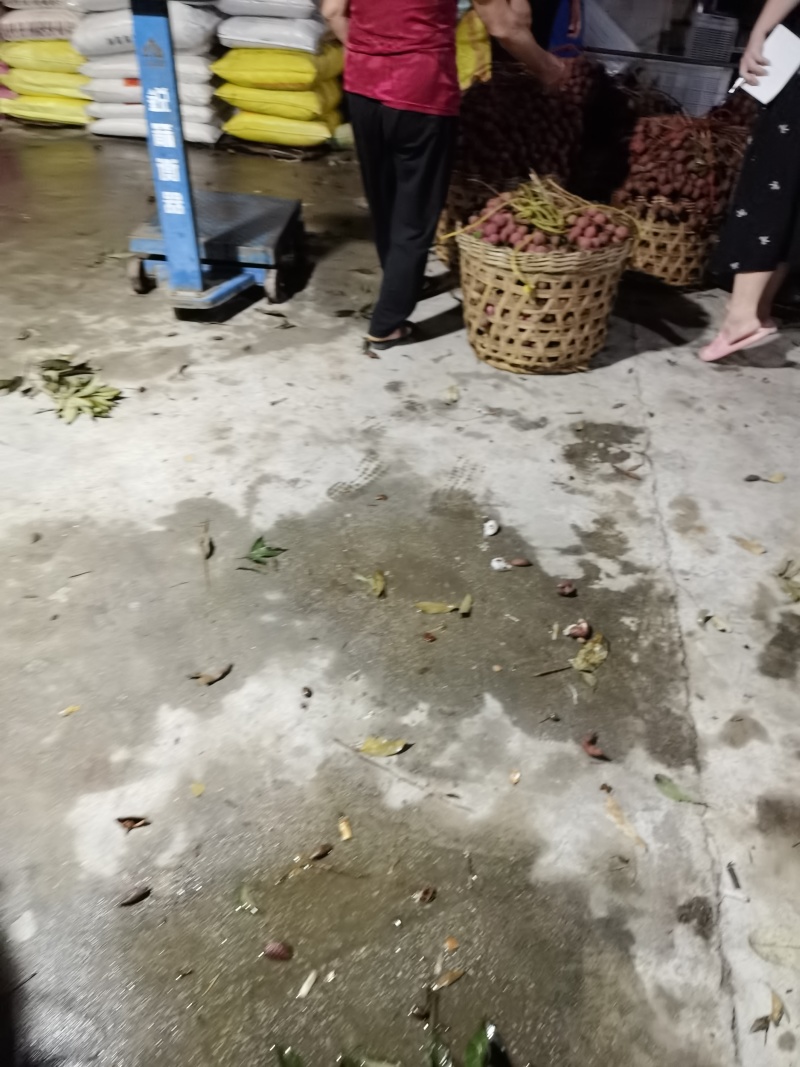 精品福建诏安.黑叶荔枝，产地直发，价格便宜，质量保证，
