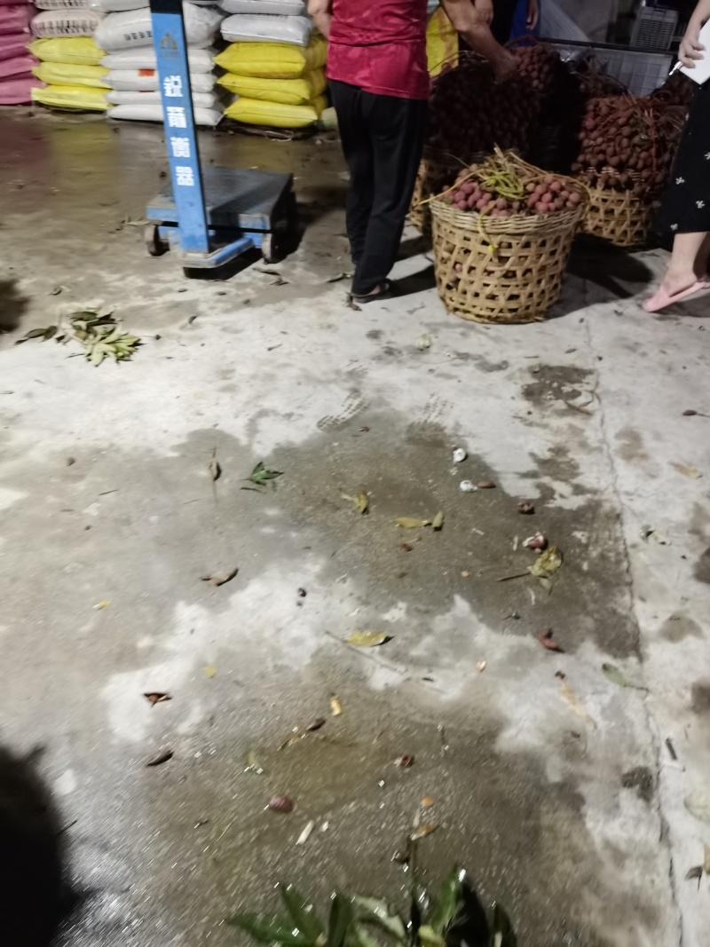 精品福建诏安.黑叶荔枝，产地直发，价格便宜，质量保证，