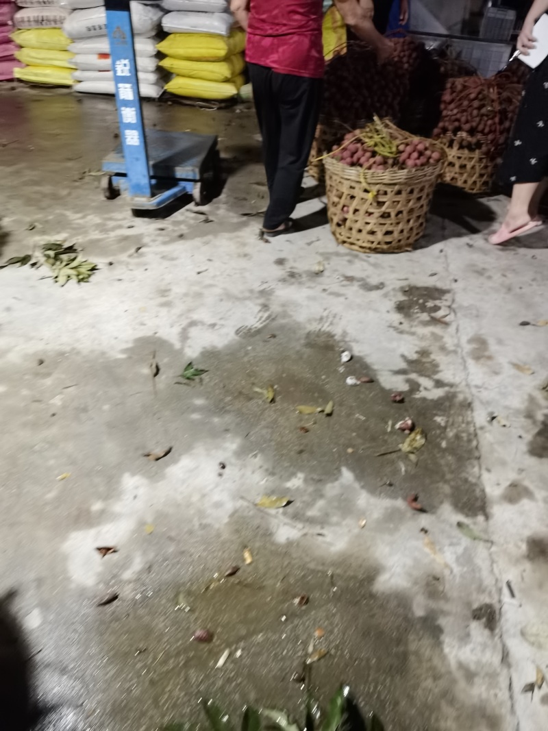 精品福建诏安.黑叶荔枝，产地直发，价格便宜，质量保证，