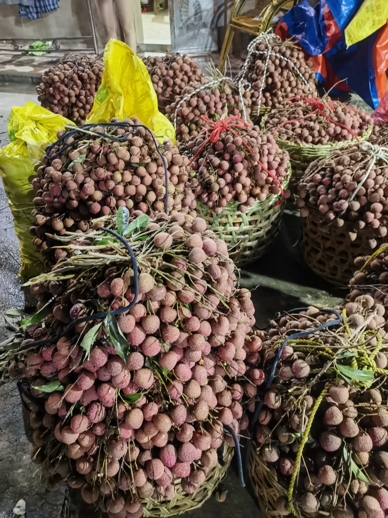 精品福建诏安.黑叶荔枝，产地直发，价格便宜，质量保证，