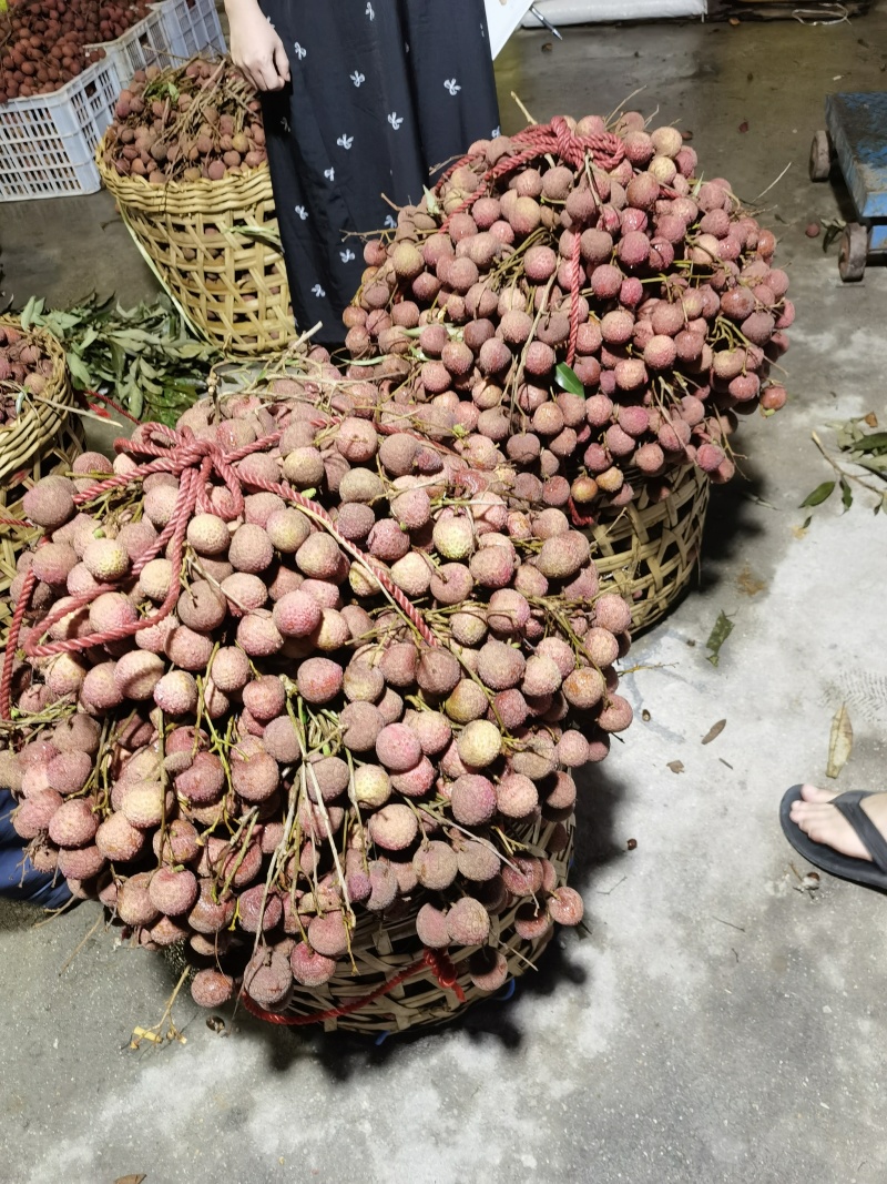 精品福建诏安.黑叶荔枝，产地直发，价格便宜，质量保证，
