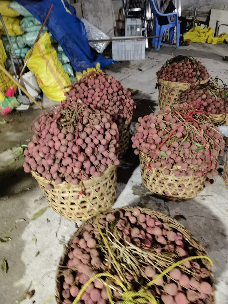 精品福建诏安.黑叶荔枝，产地直发，价格便宜，质量保证，