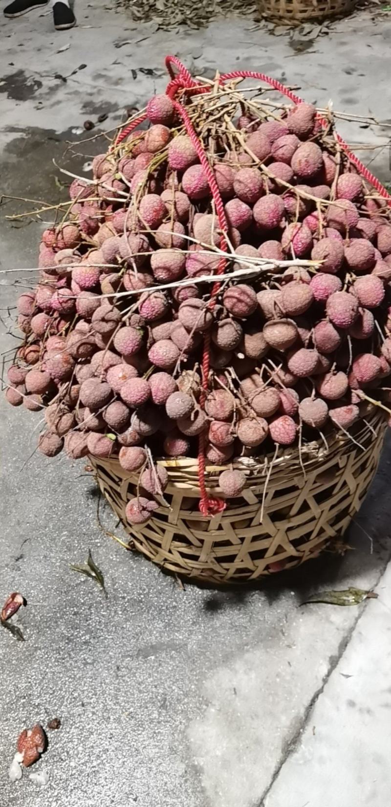 精品福建诏安.黑叶荔枝，产地直发，价格便宜，质量保证，