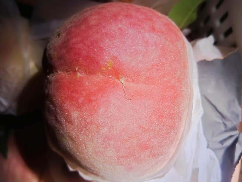 水蜜桃