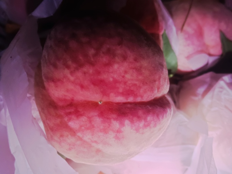 水蜜桃