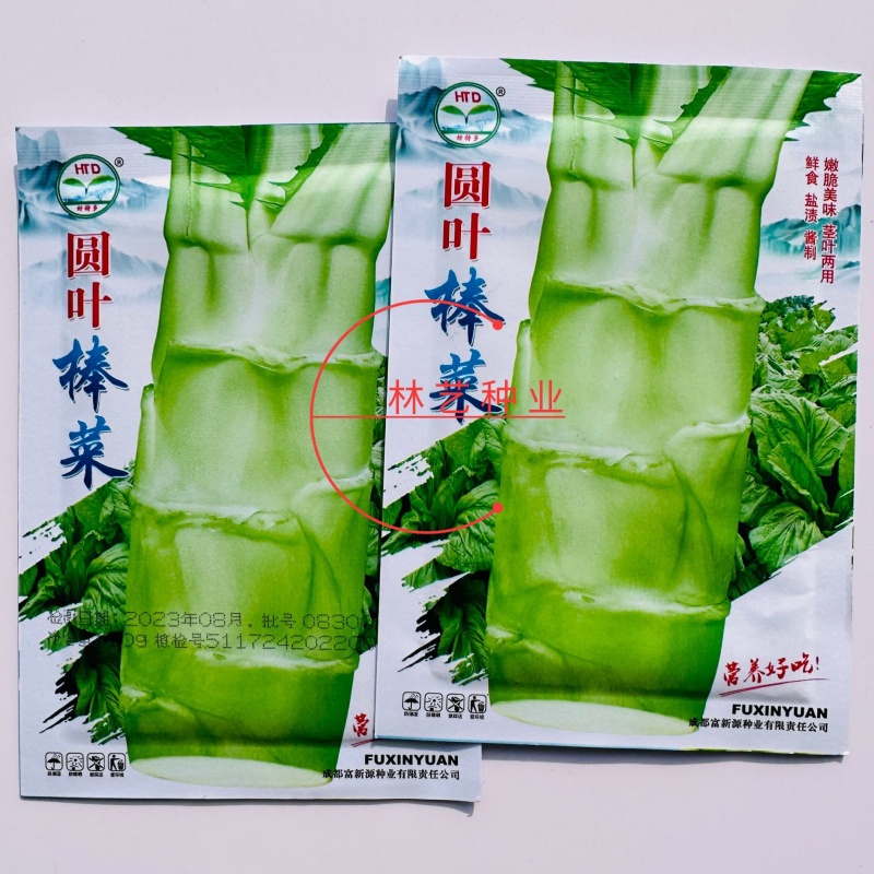圆叶棒菜种子高产抗病优质大棒菜种籽四季蔬菜种籽农家菜园