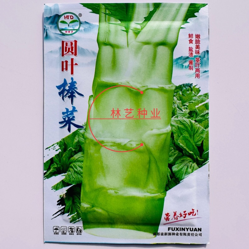 圆叶棒菜种子高产抗病优质大棒菜种籽四季蔬菜种籽农家菜园