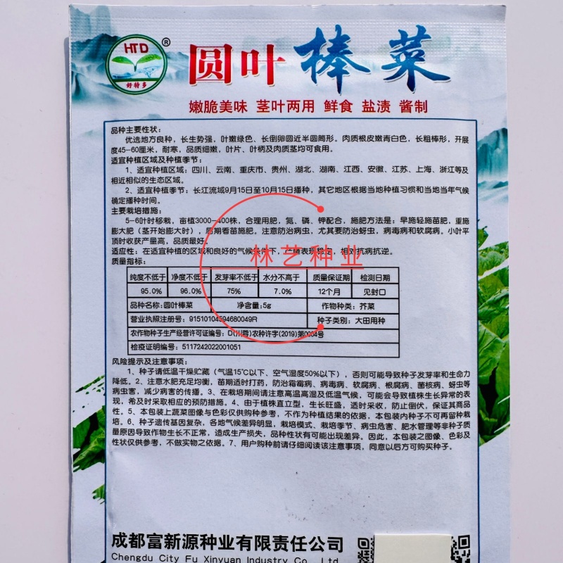 圆叶棒菜种子高产抗病优质大棒菜种籽四季蔬菜种籽农家菜园