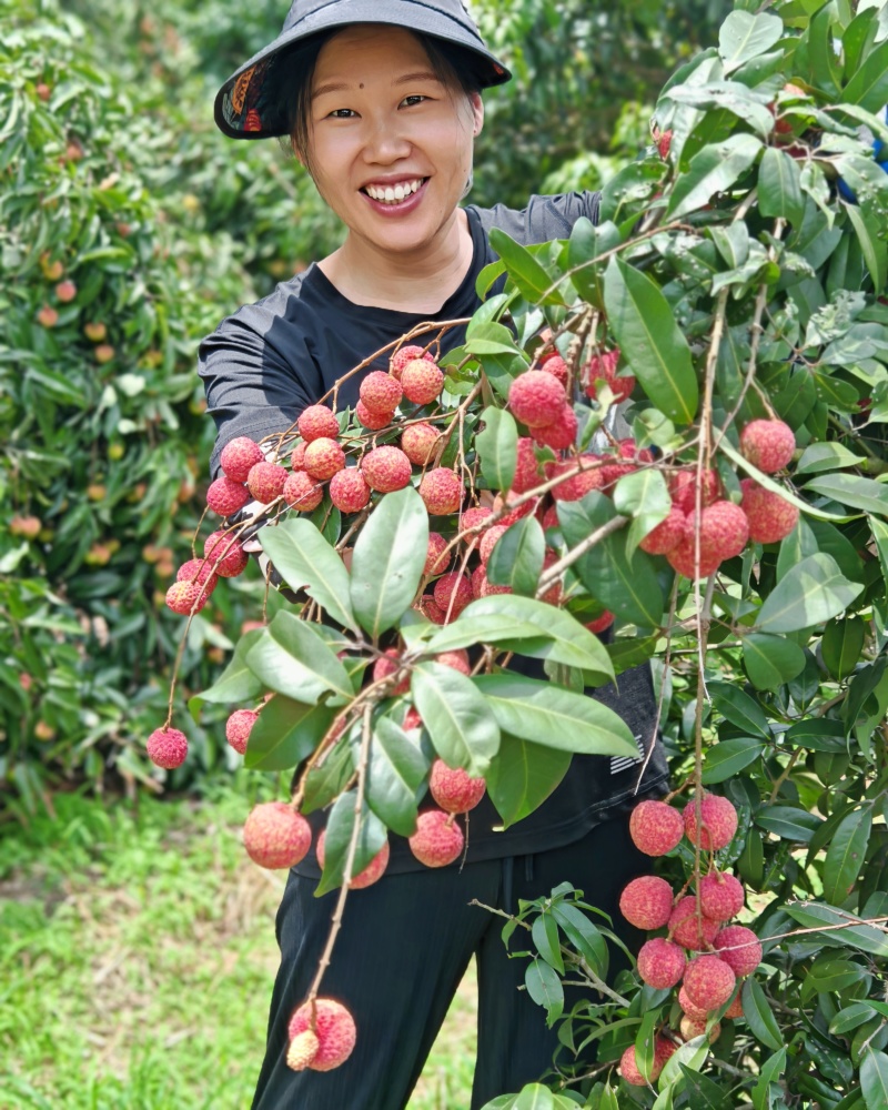 广西水果