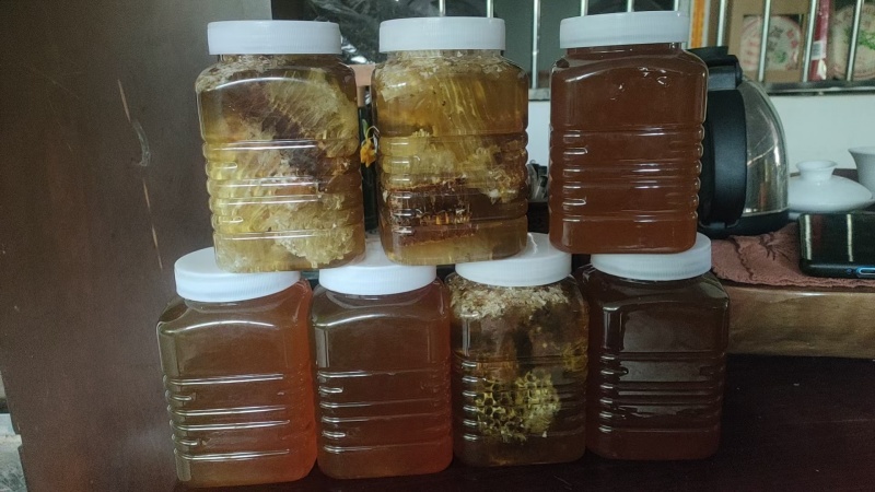 野生蜂蜜，纯野生西双版纳雨林蜂蜜