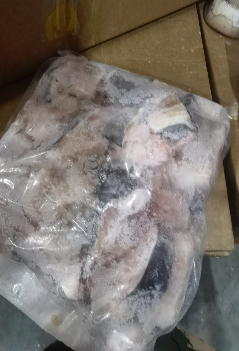 清江鮰鱼块