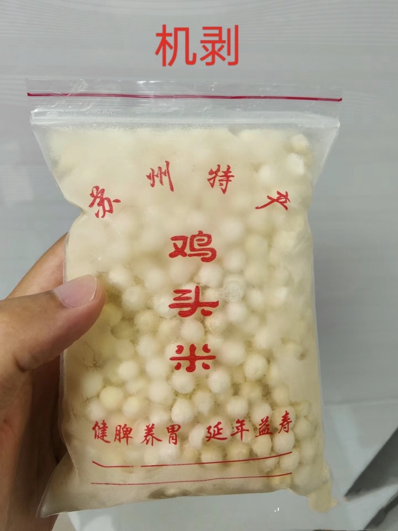 苏州本地鸡头米软糯香甜新货！颗颗手剥颗颗筛选