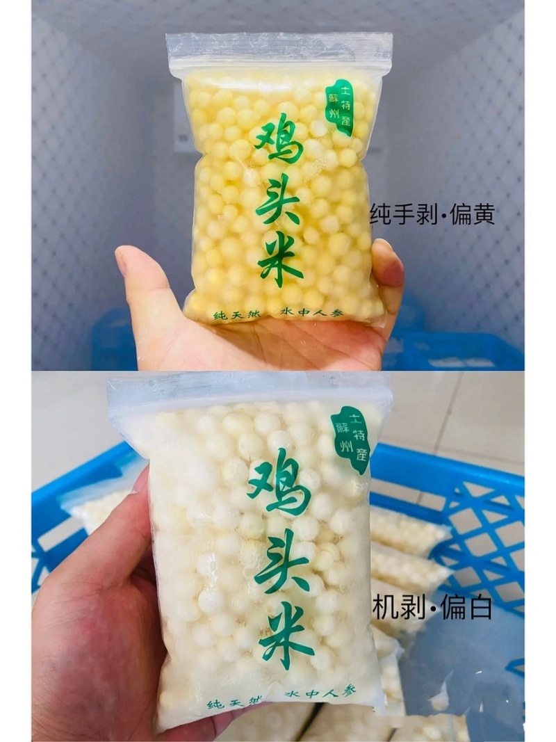 苏州本地鸡头米软糯香甜新货！颗颗手剥颗颗筛选