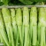花叶棒菜种子秋季耐寒蔬菜种孑芥菜头笋子芥种四川棒棒菜