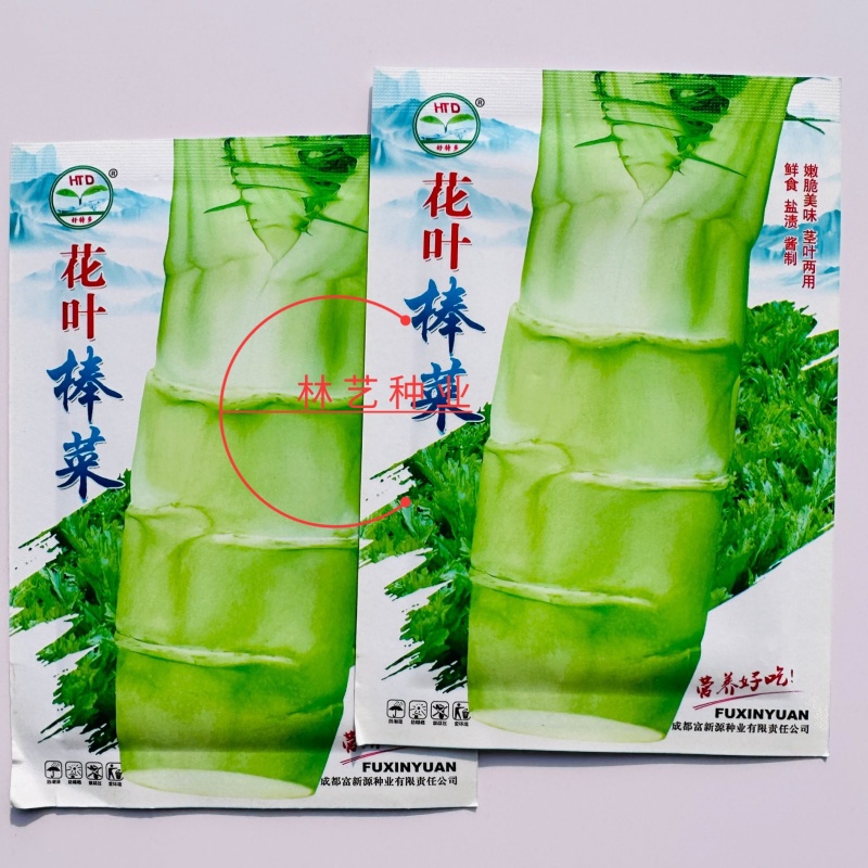 花叶棒菜种子秋季耐寒蔬菜种孑芥菜头笋子芥种四川棒棒菜