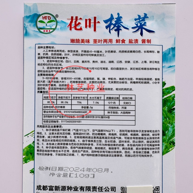 花叶棒菜种子秋季耐寒蔬菜种孑芥菜头笋子芥种四川棒棒菜