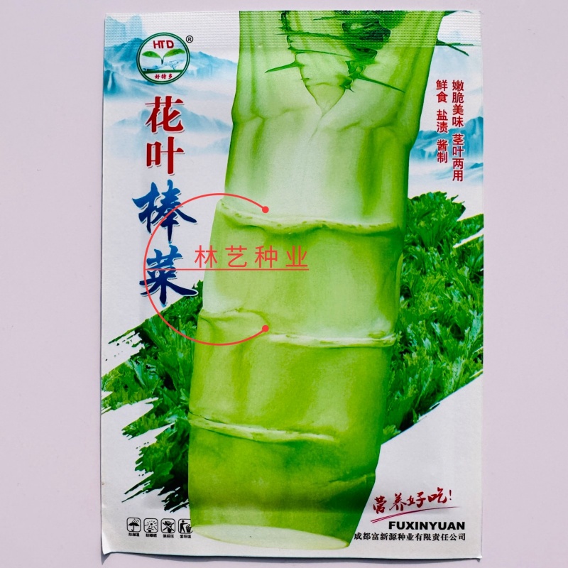 花叶棒菜种子秋季耐寒蔬菜种孑芥菜头笋子芥种四川棒棒菜