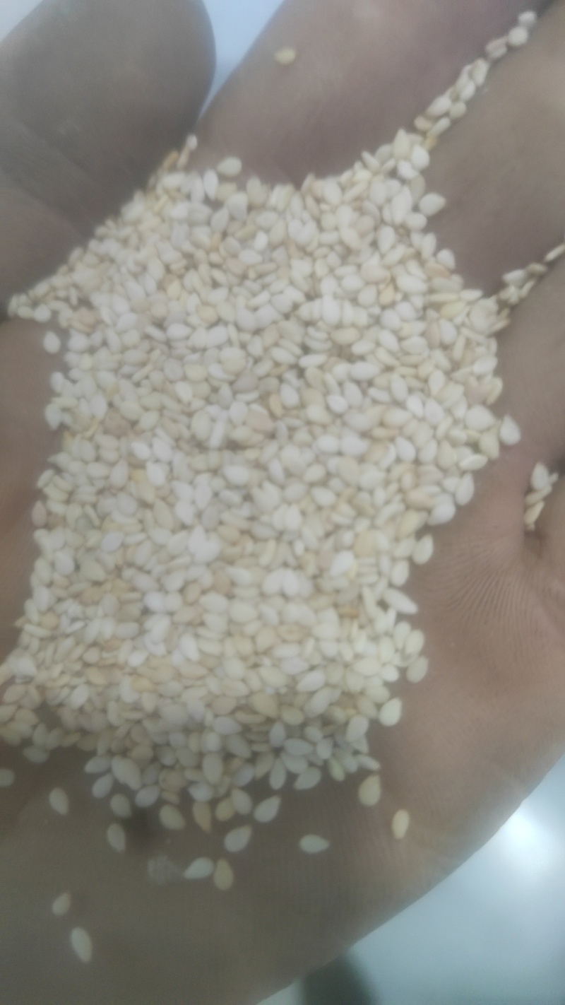 精品色选生熟芝麻