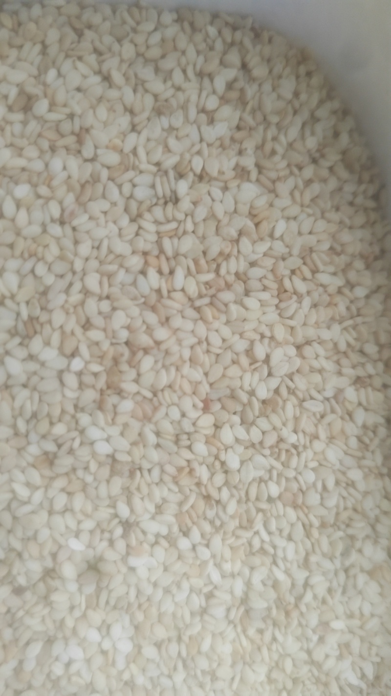 精品色选生熟芝麻