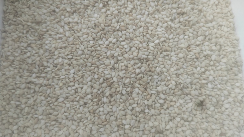 精品色选生熟芝麻