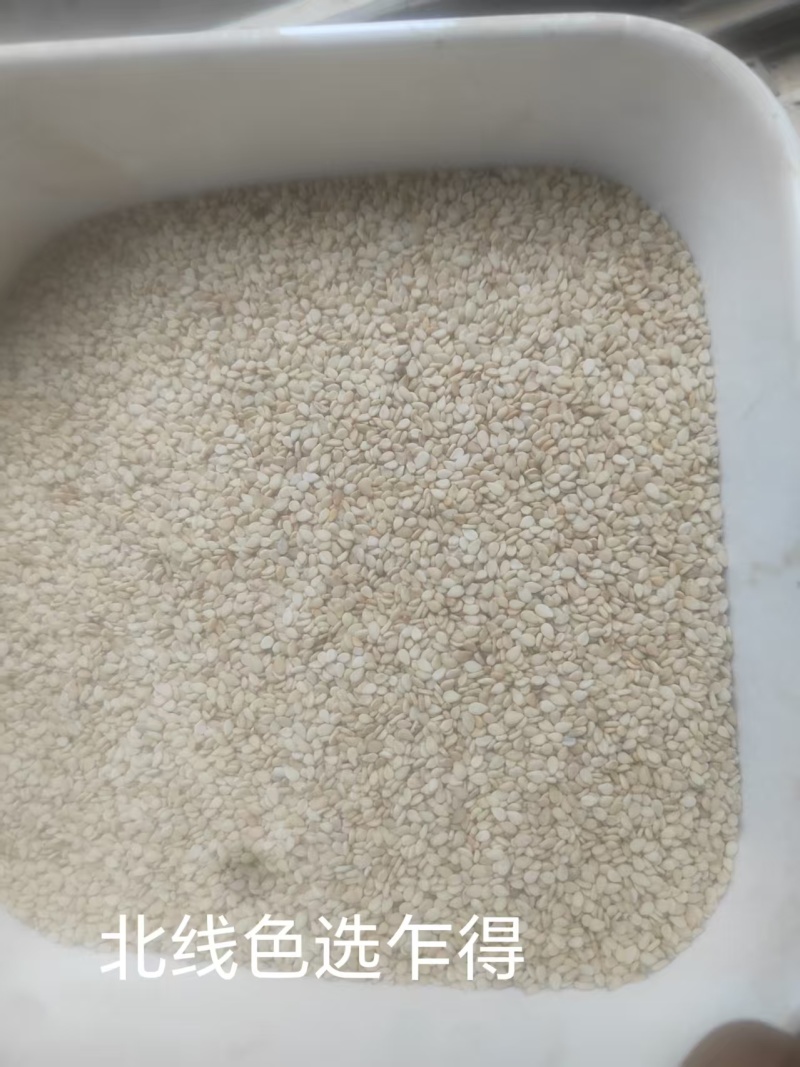 精品色选生熟芝麻